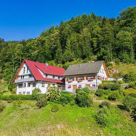 Haus Niedermaettle Lägenhet Oppenau Exteriör bild