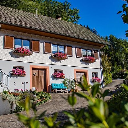 Haus Niedermaettle Lägenhet Oppenau Exteriör bild