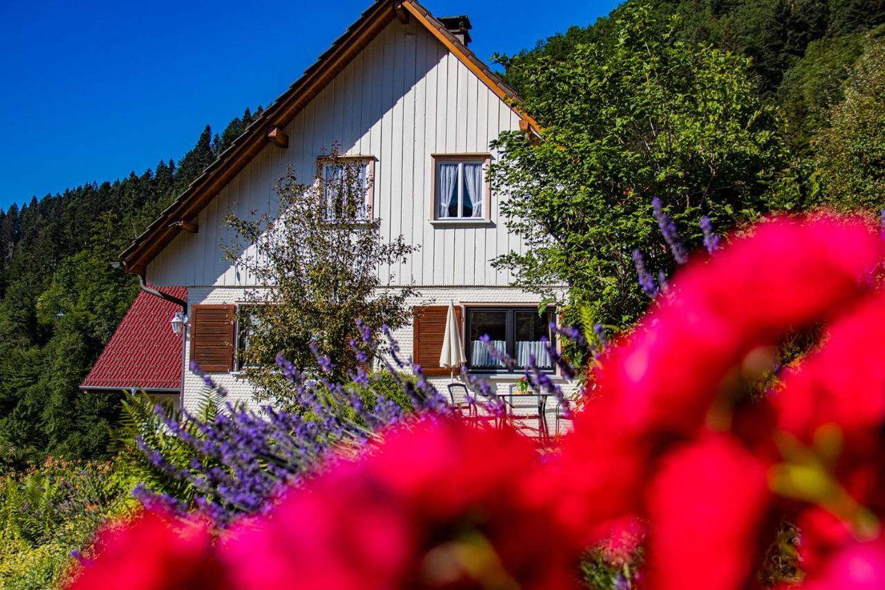 Haus Niedermaettle Lägenhet Oppenau Exteriör bild