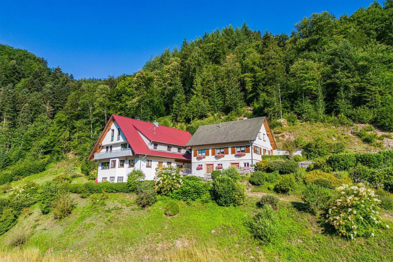Haus Niedermaettle Lägenhet Oppenau Exteriör bild