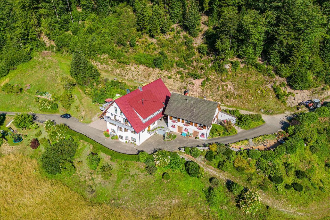 Haus Niedermaettle Lägenhet Oppenau Exteriör bild