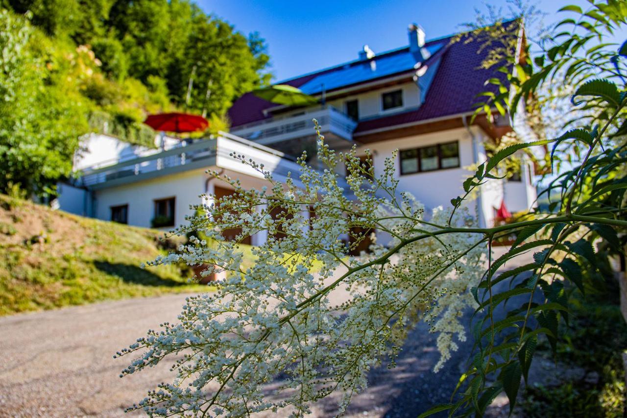 Haus Niedermaettle Lägenhet Oppenau Exteriör bild